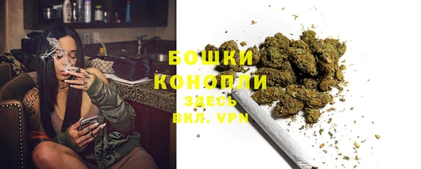 индика Краснотурьинск