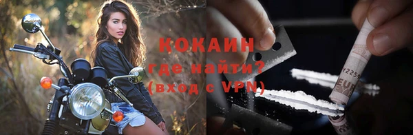 индика Краснотурьинск