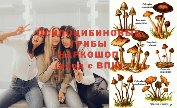 индика Краснотурьинск
