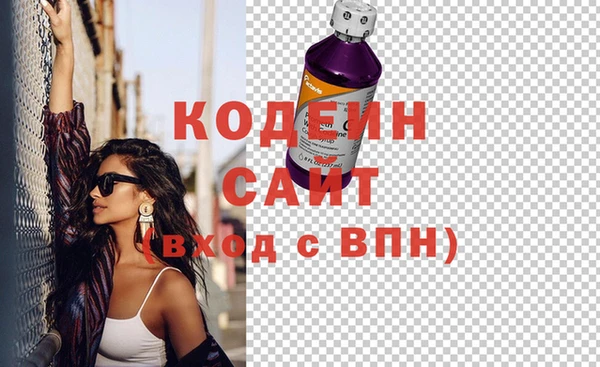 индика Краснотурьинск