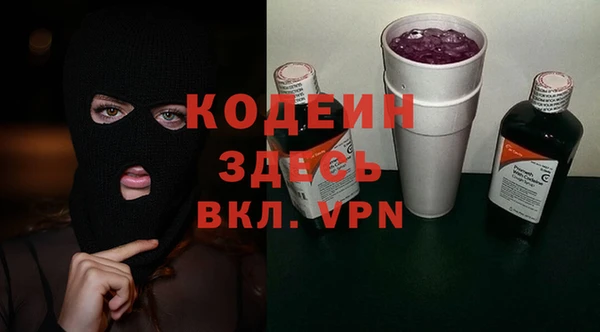 индика Краснотурьинск