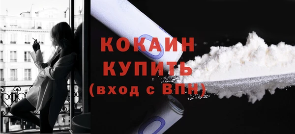 индика Краснотурьинск
