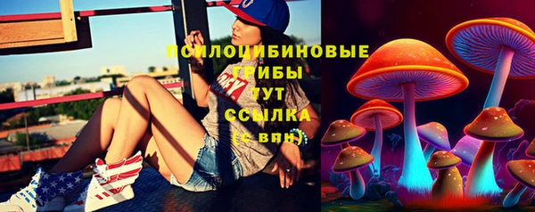 a pvp Краснослободск