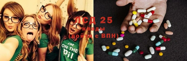 индика Краснотурьинск