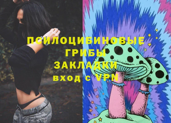 a pvp Краснослободск