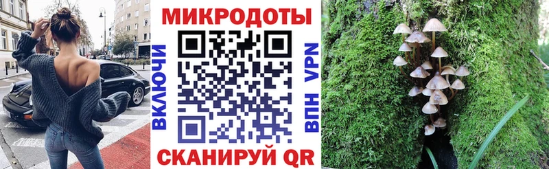 Псилоцибиновые грибы Magic Shrooms  МЕГА рабочий сайт  дарк нет Telegram  Навашино 